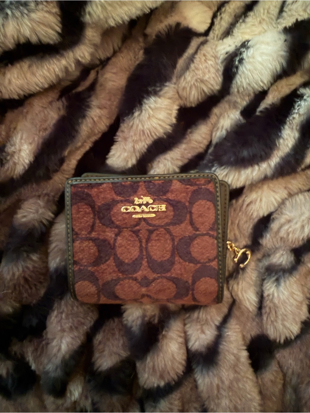 COACH Large Chenille Etta and matching Chenille Wallet NWOT - Picture 2 of 8
